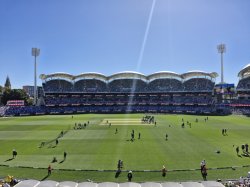 Cricket Meme Template