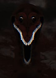 How *insert thing here* looks at you Meme Template