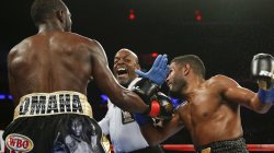 boxing Meme Template