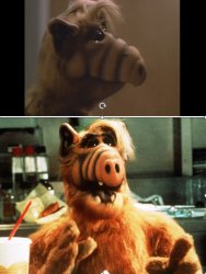 Alf Drake Alternate Meme Template