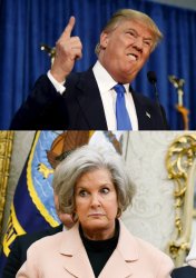 Dumb Trump Meme Template