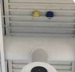 dodgeball stuck in ceiling Meme Template