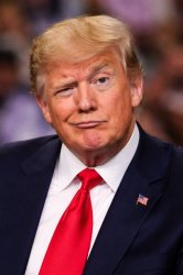 Trump rock Meme Template