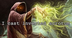 I cast inverted scrotum Meme Template