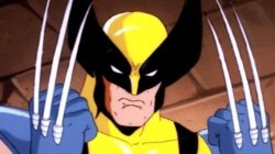 Wolverine Meme Template