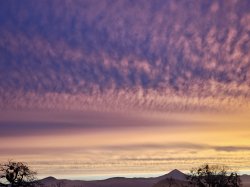 Finding your purpose Meme Template