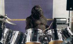 Drum Gorilla Meme Template