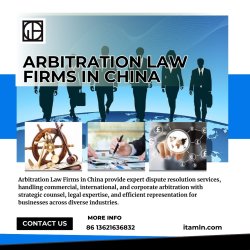Arbitration Law Firms in China Meme Template