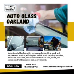 Auto Glass Oakland Meme Template