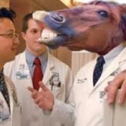 horse doctor Meme Template
