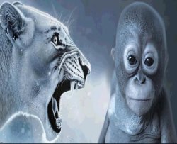 Lion yelling at monkey Meme Template