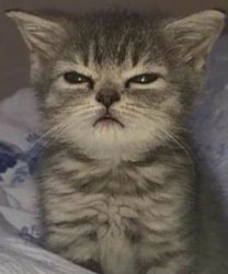 Eepy n Angy Meme Template