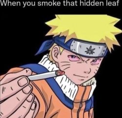 when you smoke that hidden leaf Meme Template