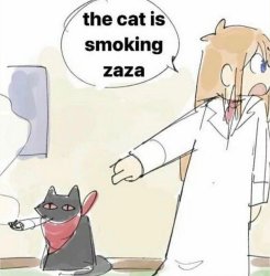 The cat is smoking zaza Meme Template