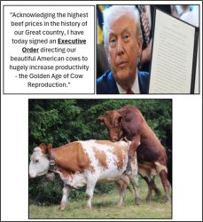 Historic Beef Prices - Meet Goden Age Of Cow Reproduction Meme Template