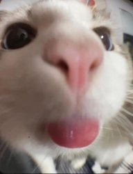 Me when X Meme Template