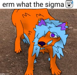 Erm, what the sigma Meme Template