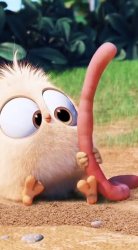 Early bird Meme Template