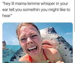 Whisper in your ear Meme Template