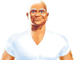 MR CLEAN Meme Template
