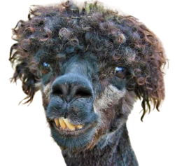 Look at me Meme Template