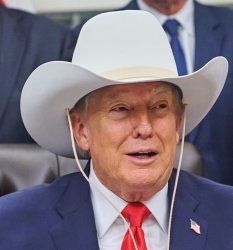 Trump goofy cowboy hat Meme Template