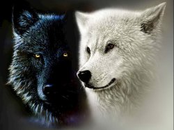 Two Wolves Meme Template