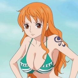 Nami Swam Meme Template