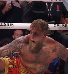 Jake Paul knockdown Meme Template