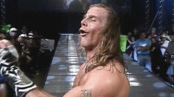shawn michaels Meme Template