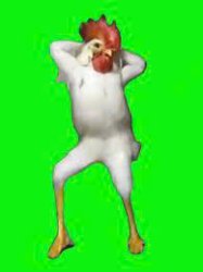 Chicken dance Meme Template