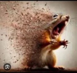 Evaporating Squirrel Meme Template