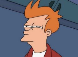 skeptical fry flipped Meme Template