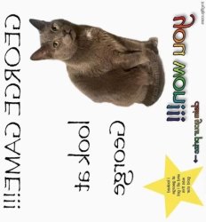 Conan Void Meme Template