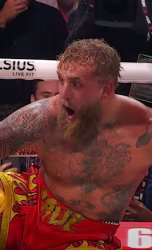 Jake Paul knockout Meme Template