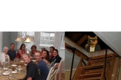 InvestorSol Meme Template