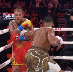 Jake Paul knockout Meme Template