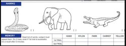 Montreal Cognitive Assessment MOCA exam Elephant Meme Template