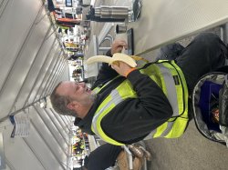 Bananas Meme Template