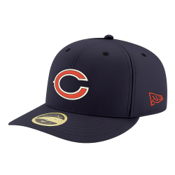 bears hat (transparent) Meme Template