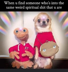 spiritual shit Meme Template