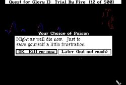 Quest for glory 2 death message Meme Template