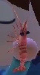 AC Sweet Shrimp Meme Template