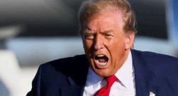 Horse mouth Meme Template