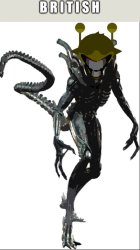 B R I T I S H Meme Template