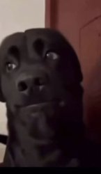 I guess bro Meme Template