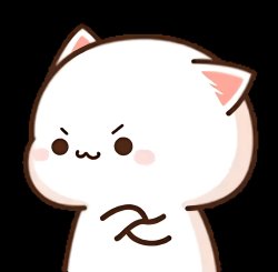 Peach cat angry Meme Template