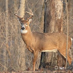 Chrisjoines1 Meme Template