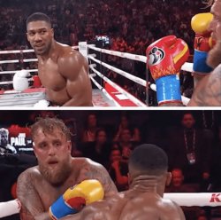 Jake Paul boxing Meme Template