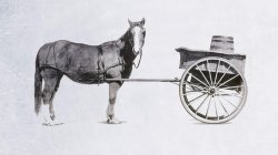 Cart Before The Horse Meme Template